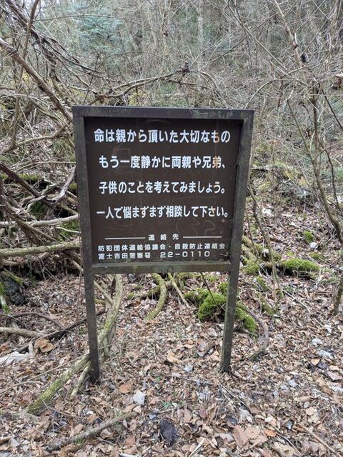 img/0439/0043854/VHma82z.jpeg